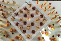 catering-per-feste-private-milano