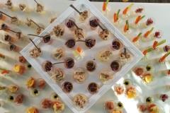 finger-food