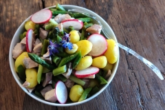 insalata-di-primizie