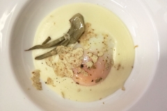 uovo-cotto-a-65°-fonduta-e-tartufo